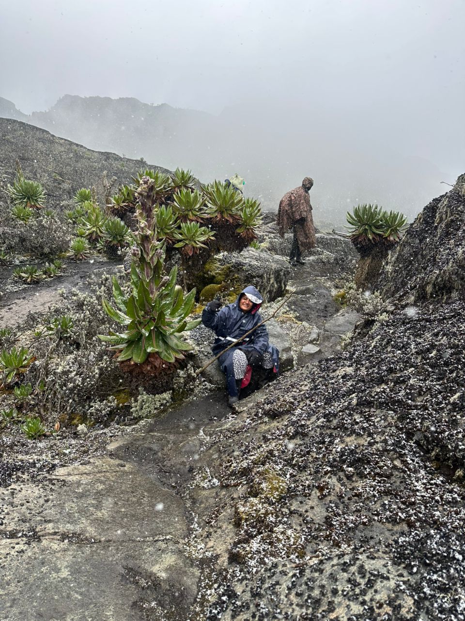 Rwenzori Mountains Hike